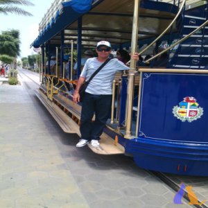 Alfrep