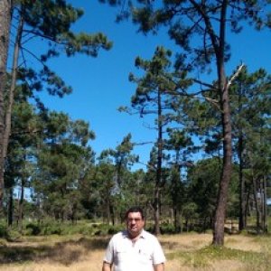 Carvalho77220