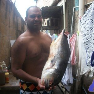 Elpesca