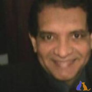 joselovalcar