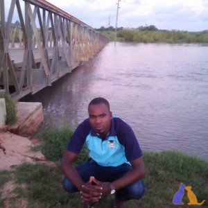 Miguel 4312940