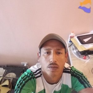 Lenin olivar