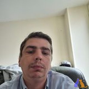 amarsemfim