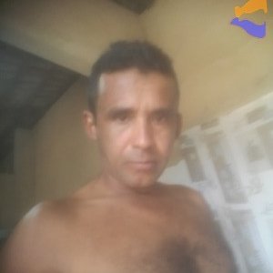 Walter 03