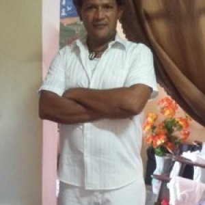 Reynaldo79