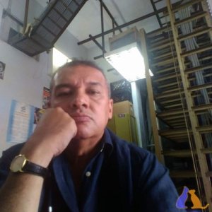 Antonp