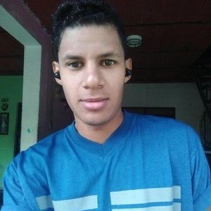 Lvillalobosa