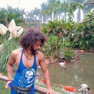 Bruno poderoso