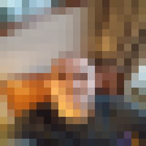 Guarda-Costa