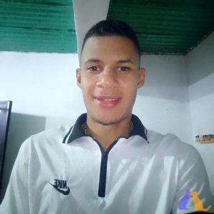 Lvillalobossa