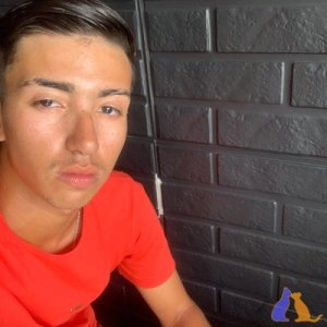 Lysandro 3323