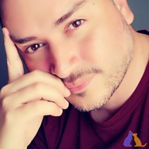 Ruan 4420