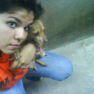 Becha